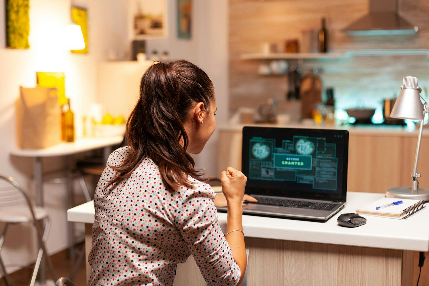 Sikker pc: Nå kan du velge hvilke programmer som kan koble seg nettet, slik at det ikke sendes og mottas data uten din godkjenning.